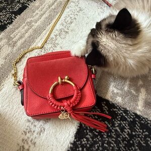 See By Chloe Red and Gold Crossbody Bag with Tassel